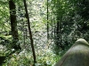 schuhbraeualm_019